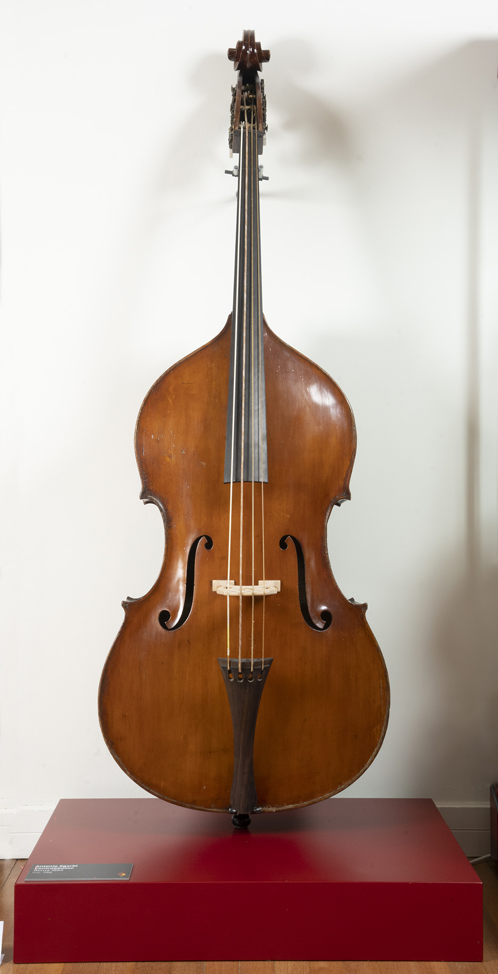contrabbasso-antonio-sgarbi-roma-1894